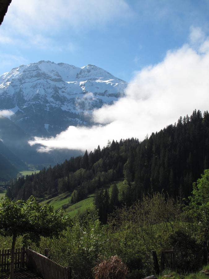 Bed and Breakfast Bergluft Lenk Zewnętrze zdjęcie