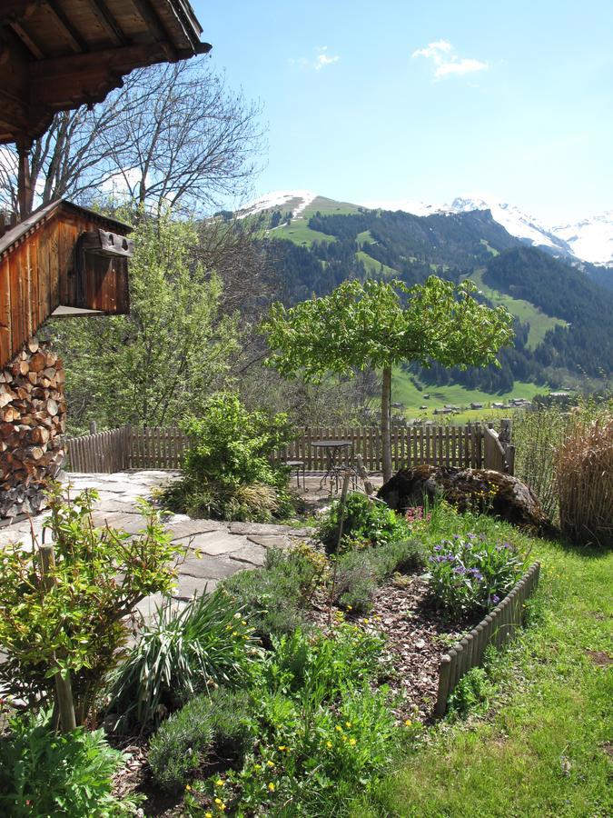 Bed and Breakfast Bergluft Lenk Zewnętrze zdjęcie