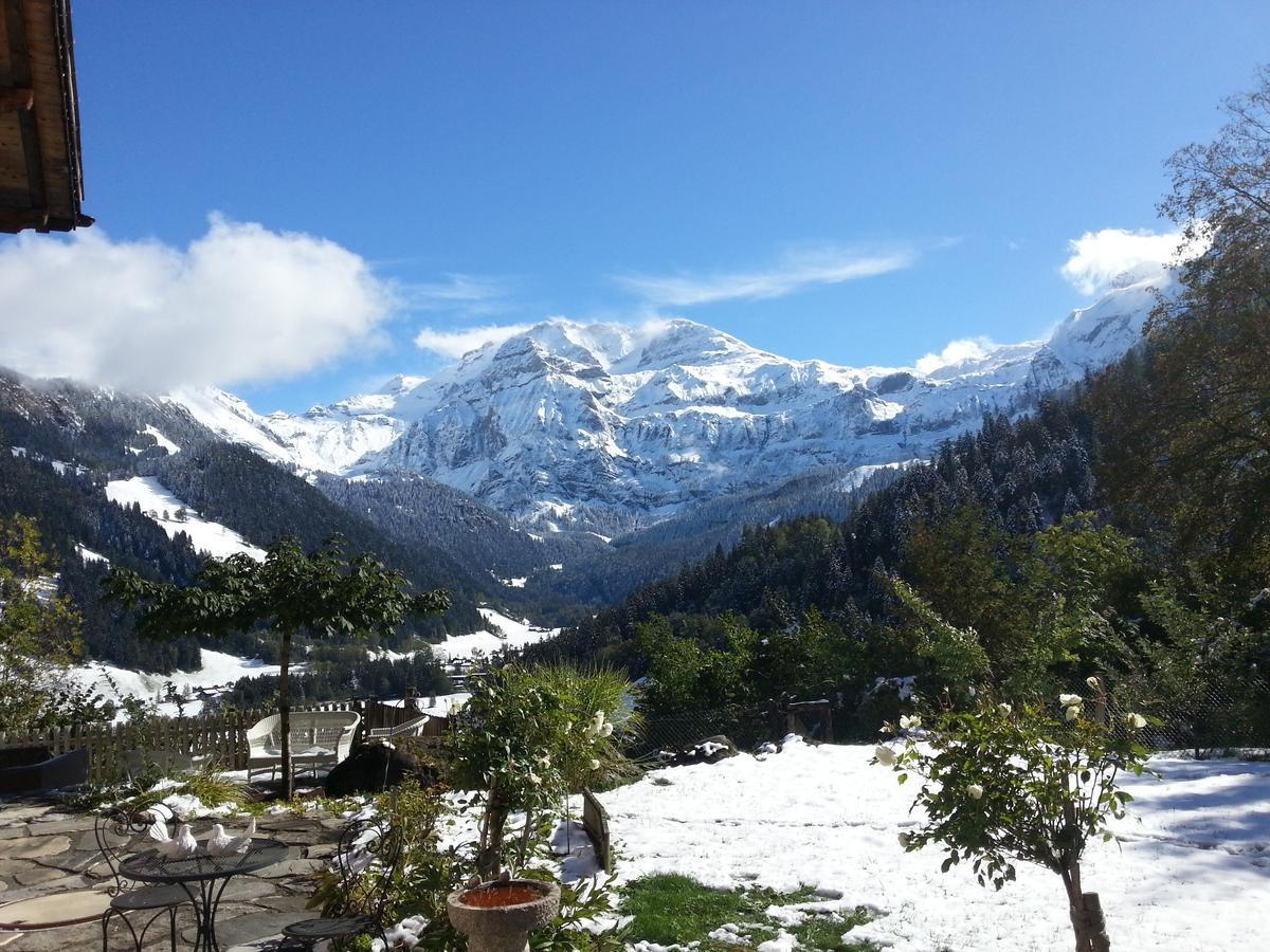 Bed and Breakfast Bergluft Lenk Zewnętrze zdjęcie
