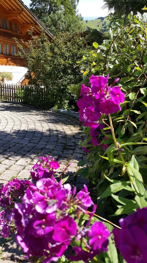 Bed and Breakfast Bergluft Lenk Zewnętrze zdjęcie